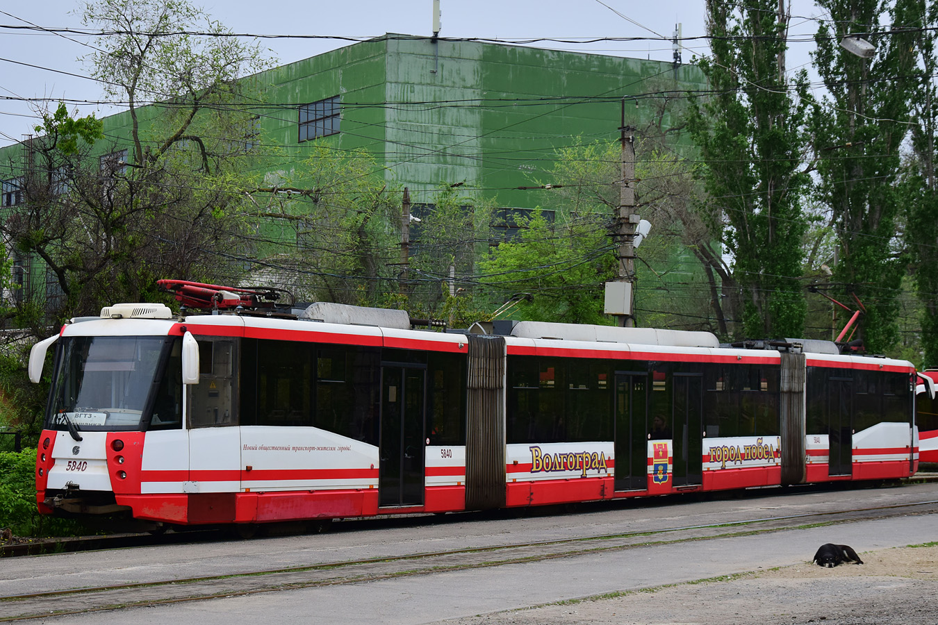 Volgograd, 71-154 (LVS-2009) № 5840