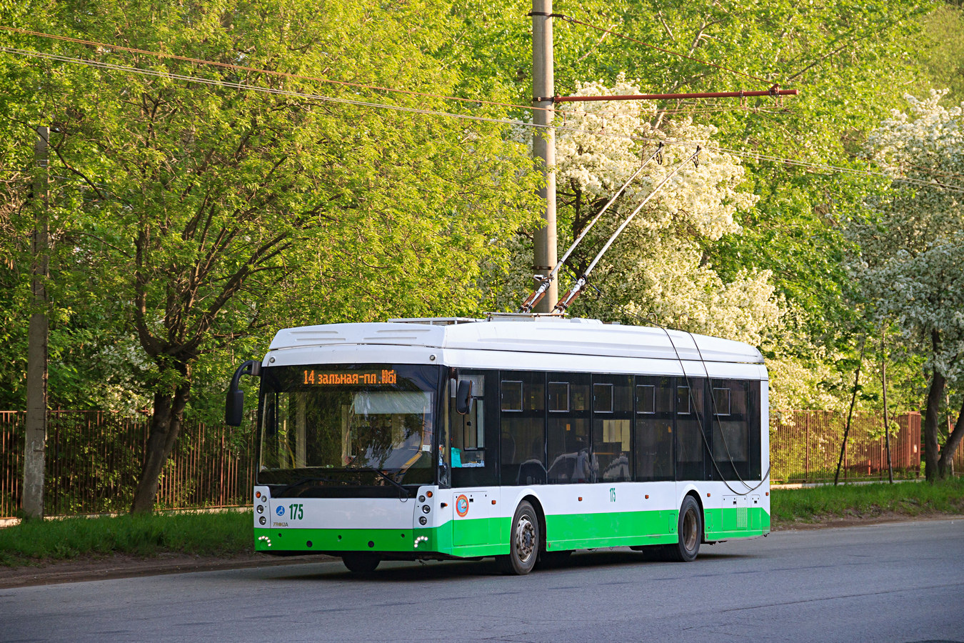 Березники, Тролза-5265.08 «Мегаполис» № 175