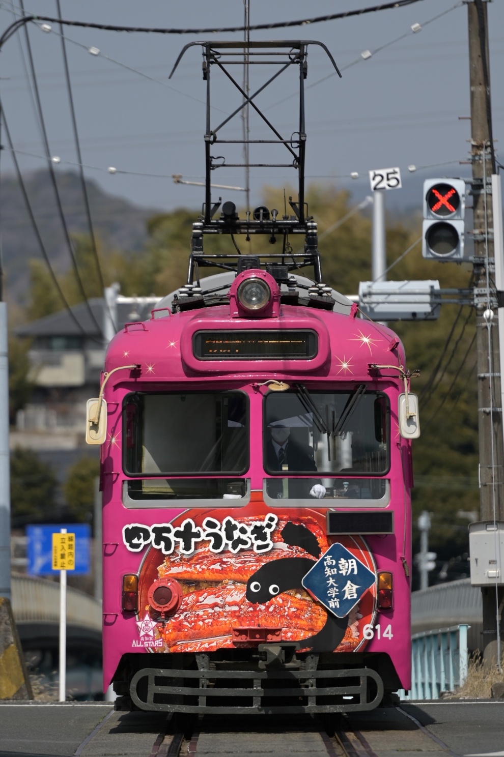 Kochi, Tosaden № 614