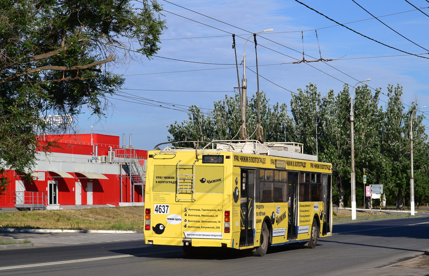 Волгоград, Тролза-5275.03 «Оптима» № 4637