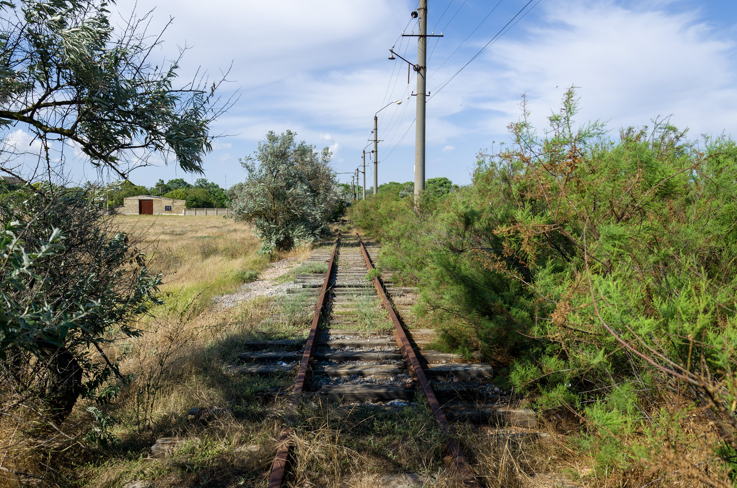 Молочное — Разные фотографии