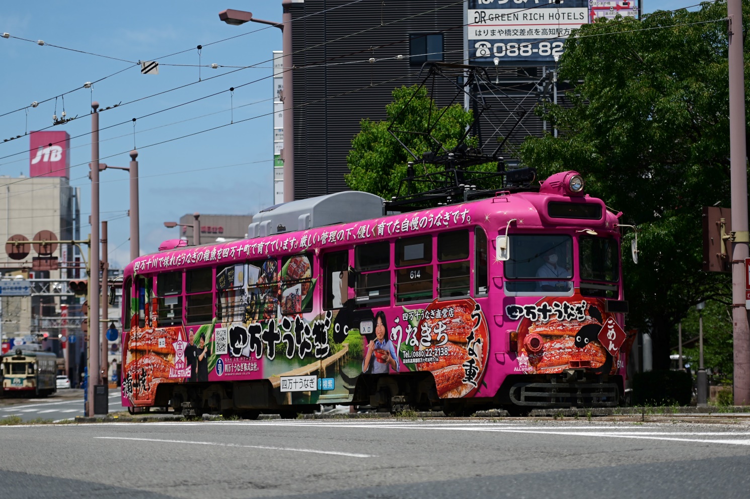 Коти, Tosaden № 614