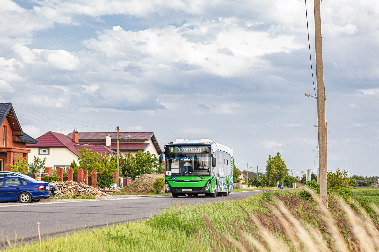 Брест, МАЗ-303Е10 № 160