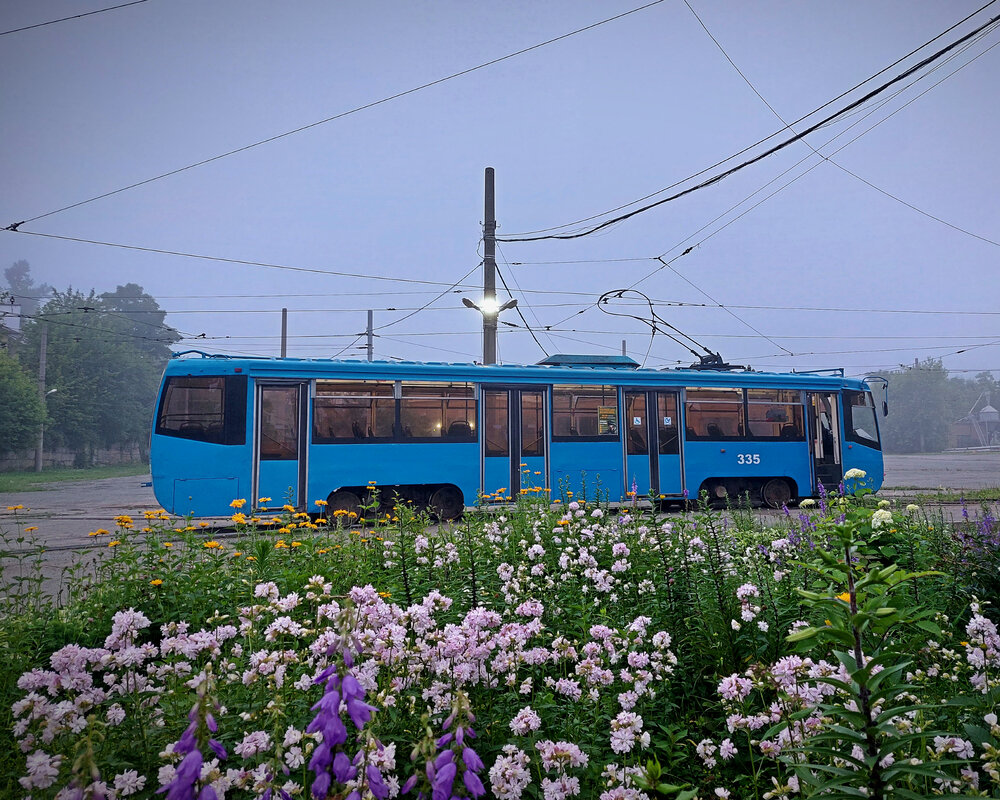 Владивосток, 71-619К № 335