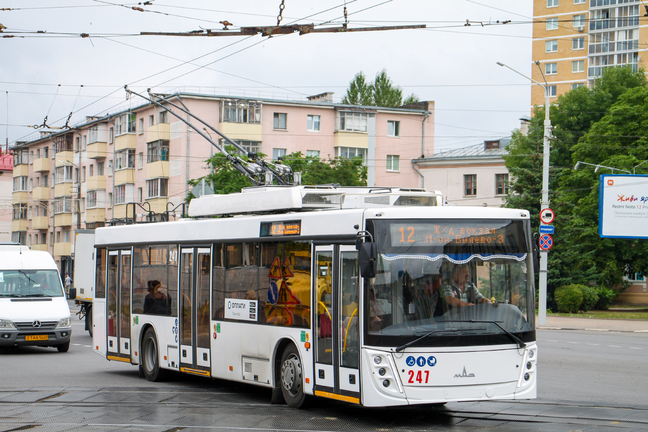 Витебск, МАЗ-203Т70 № 247