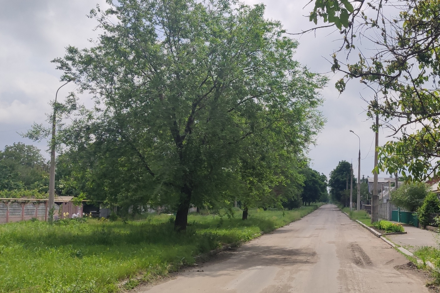 Донецк — Повреждения от военных действий; Донецк — Разные троллейбусные фотографии