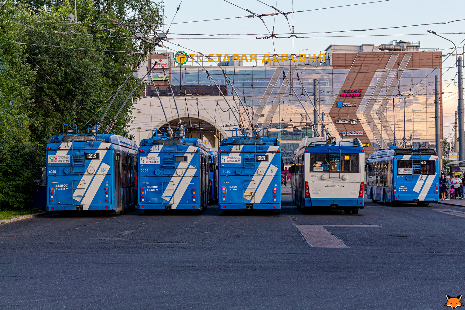 Sankt Petersburg, Trolza-5265.08 “Megapolis” Nr. 6064; Sankt Petersburg, Trolza-5265.08 “Megapolis” Nr. 6030; Sankt Petersburg, Trolza-5265.00 “Megapolis” Nr. 6439