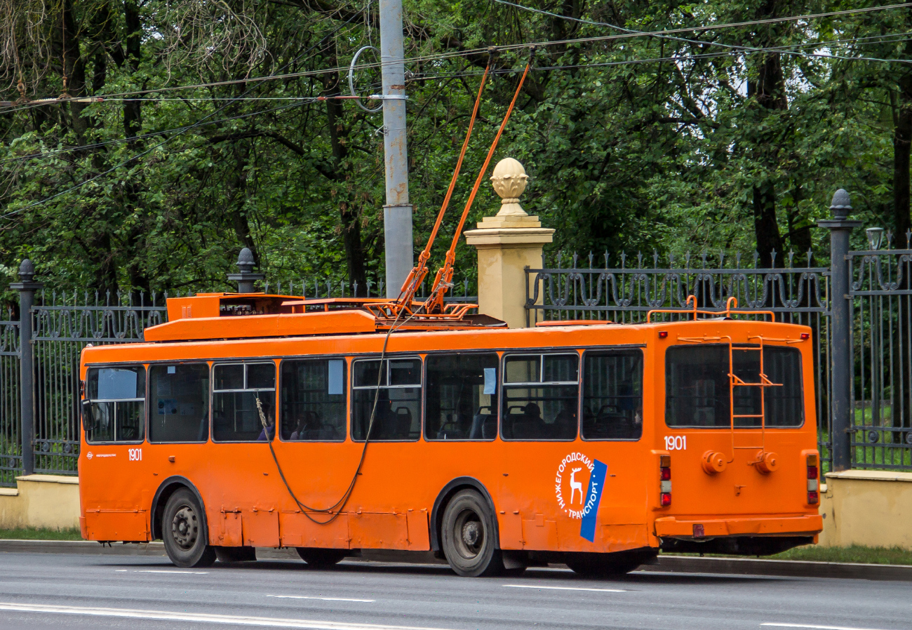 Žemutinis Naugardas, VMZ-52981 nr. 1901