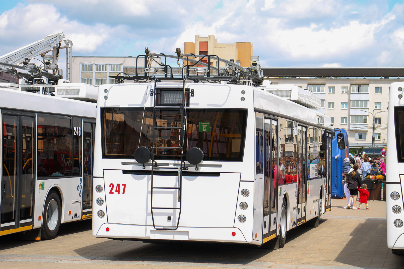 Витебск, МАЗ-203Т70 № 247