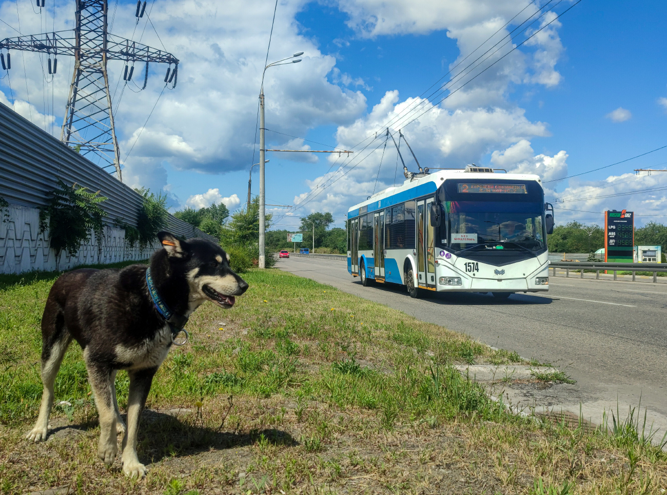 Днепр, АКСМ 321 (БКМ-Україна) № 1574; Днепр — Разные фотографии; Транспорт и животные