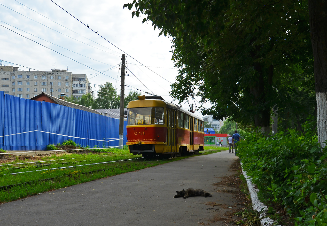Транспорт и животные