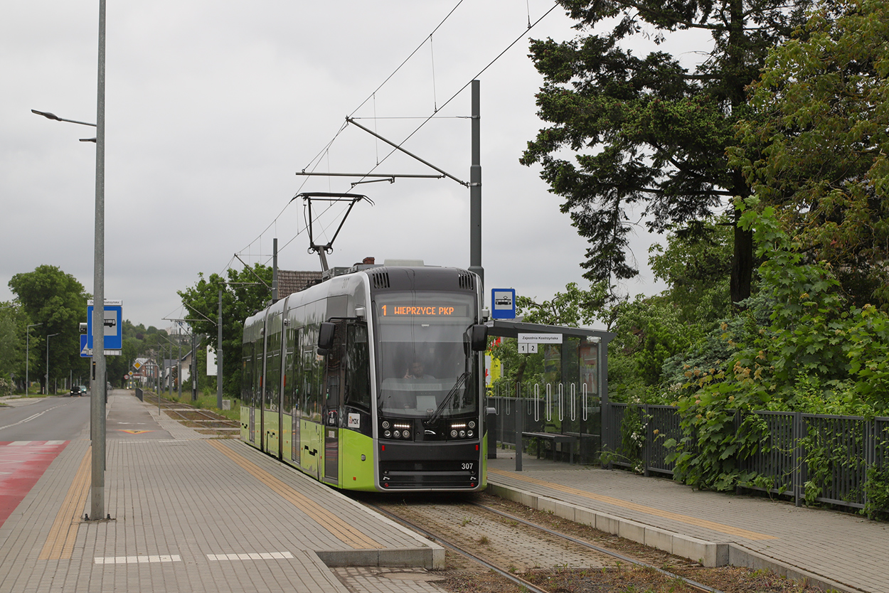 Гожув-Велькопольский, PESA Twist 2015N № 307