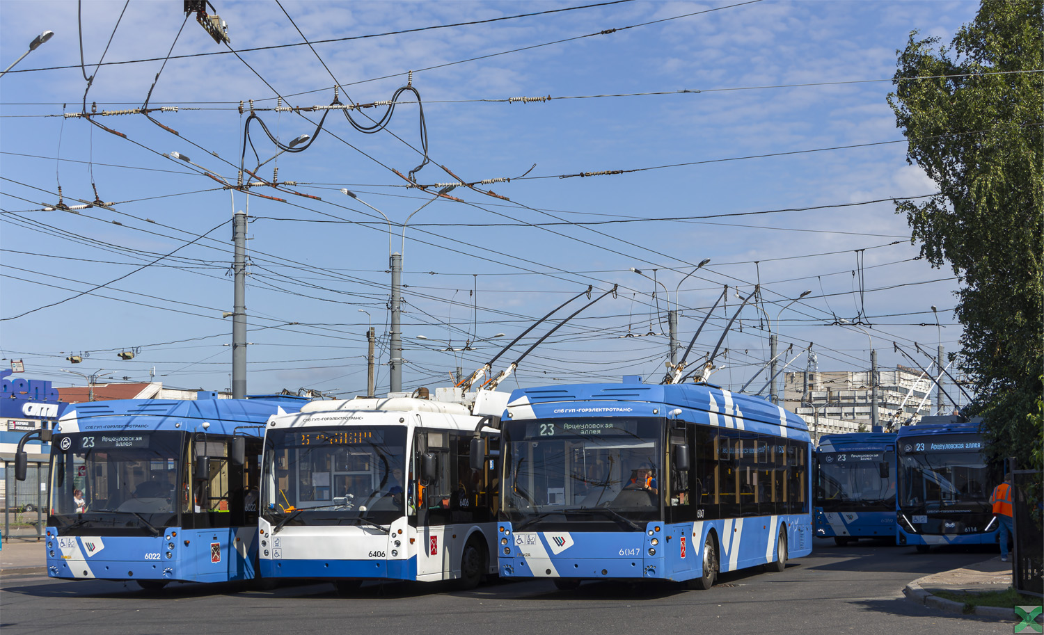 Санкт-Петербург, Тролза-5265.08 «Мегаполис» № 6022; Санкт-Петербург, Тролза-5265.00 «Мегаполис» № 6406; Санкт-Петербург, Тролза-5265.08 «Мегаполис» № 6047