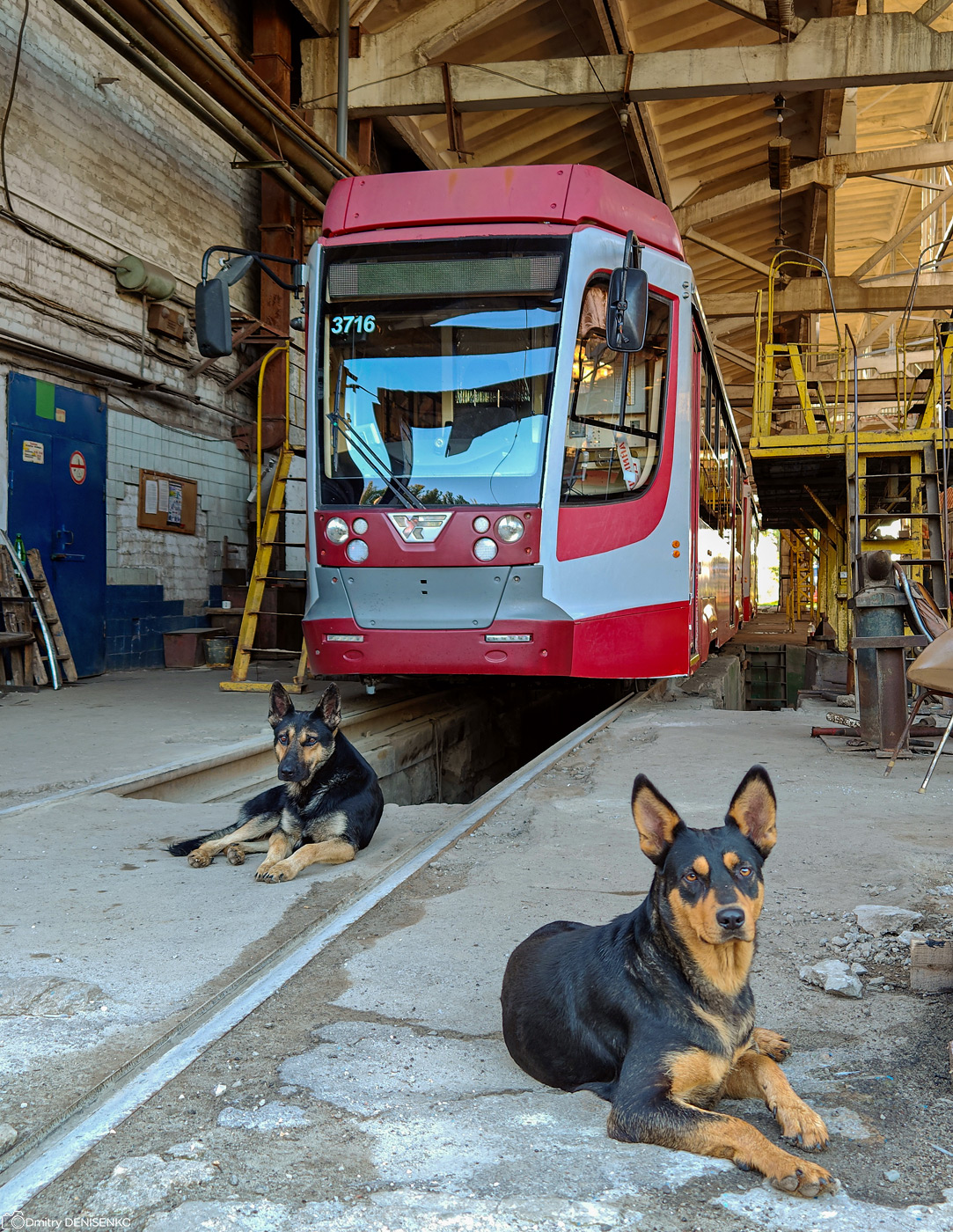 Енакиево, 71-623-03.01 № 3716; Транспорт и животные