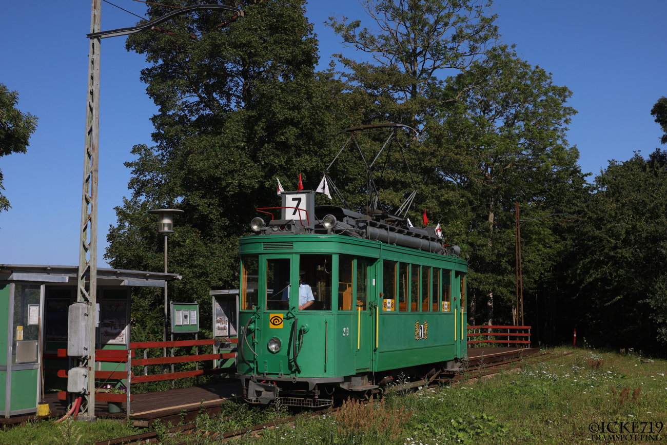 Скьолленесхольм, SIG/BBC Ce 2/2 № 213