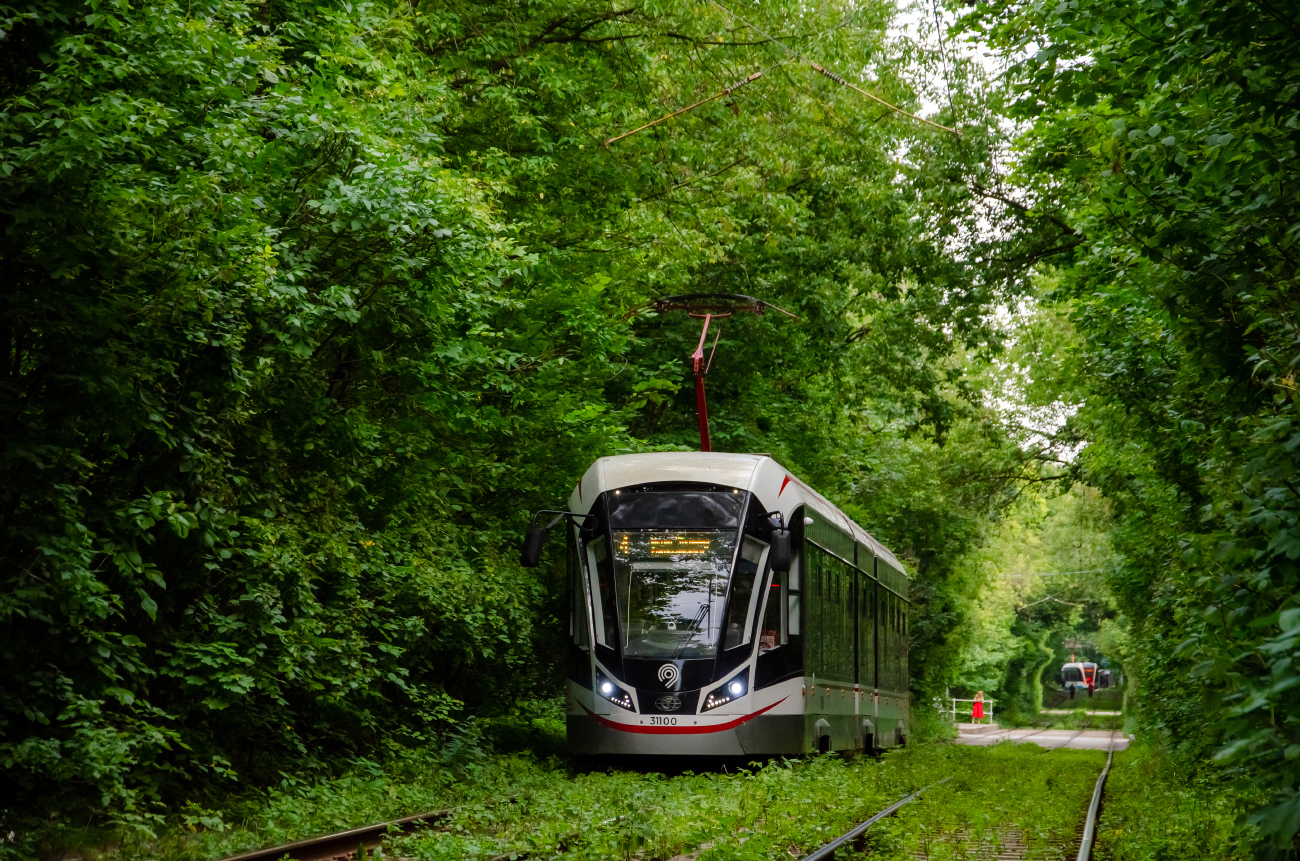 Москва, 71-931М «Витязь-М» № 31100