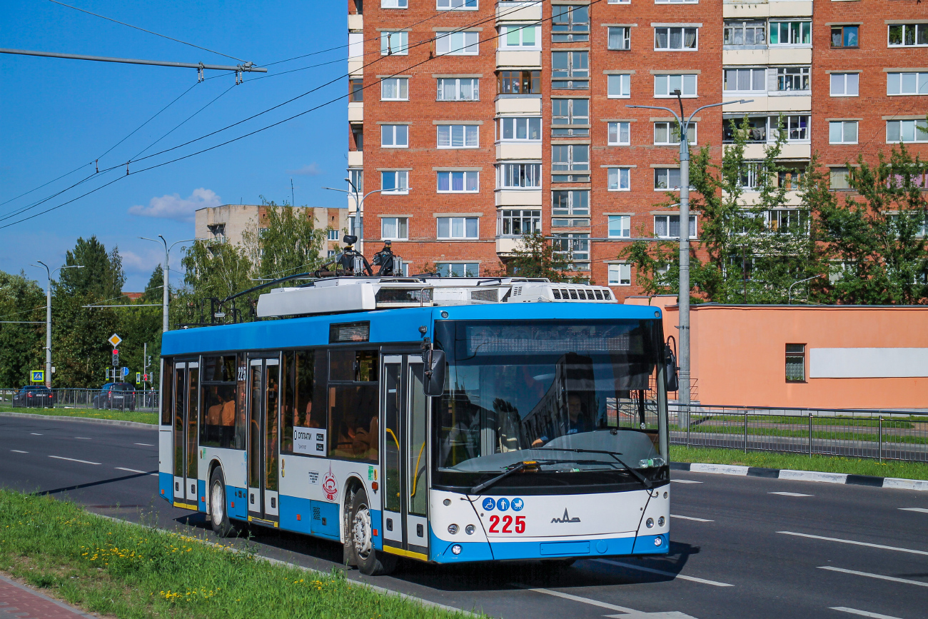 Витебск, МАЗ-203Т70 № 225