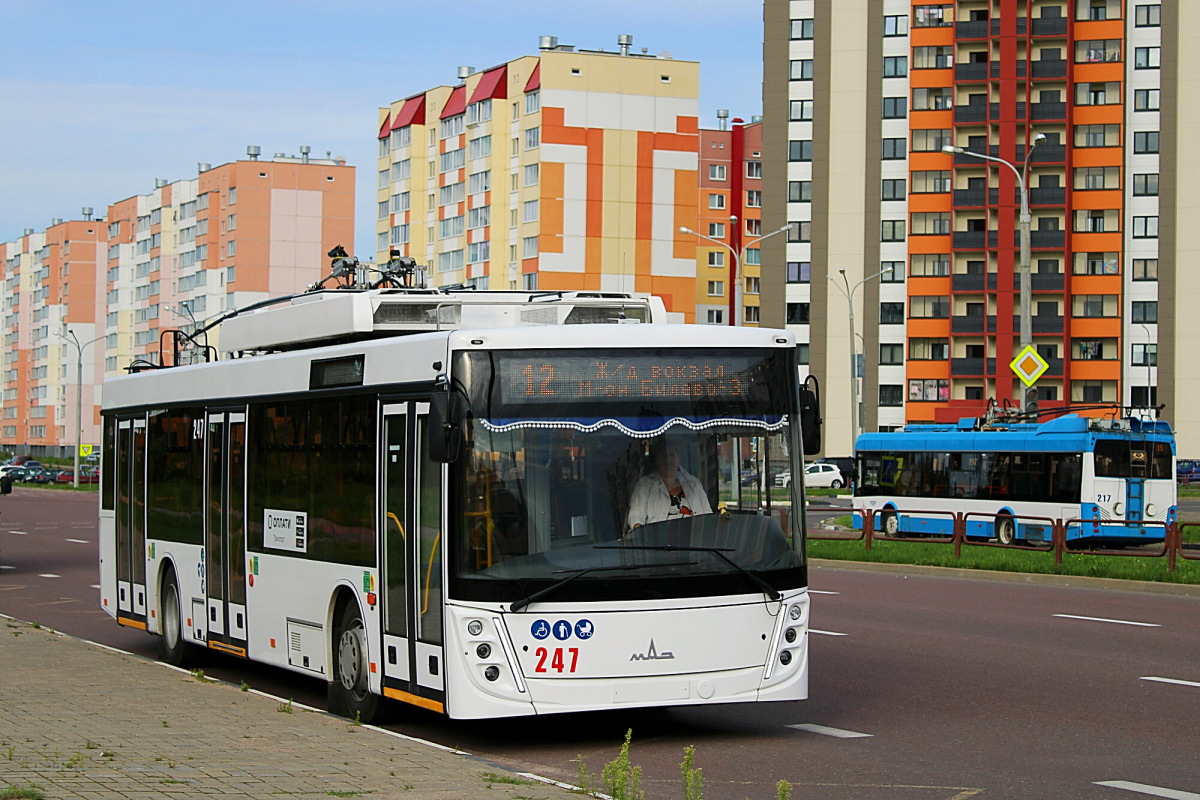 Витебск, МАЗ-203Т70 № 247