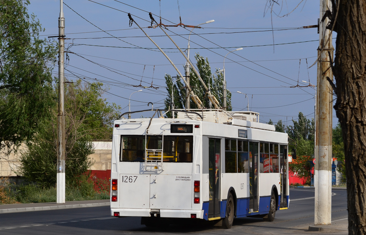 Волгоград, Тролза-5275.03 «Оптима» № 1267