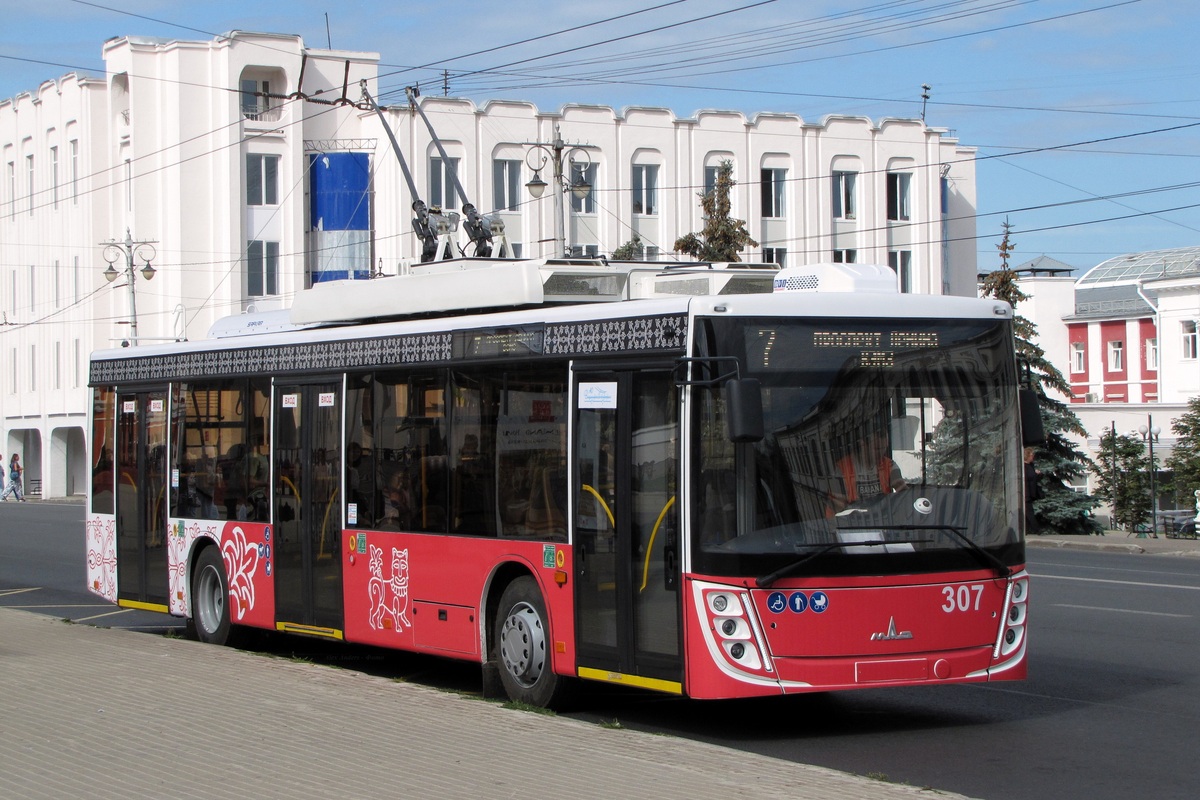 Владимир, МАЗ-203Т20 № 307