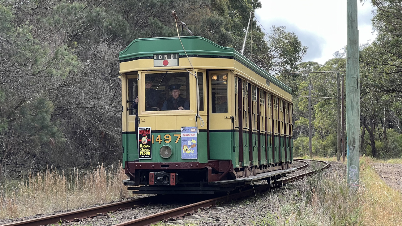 Сидней, Sydney P Class № 1497