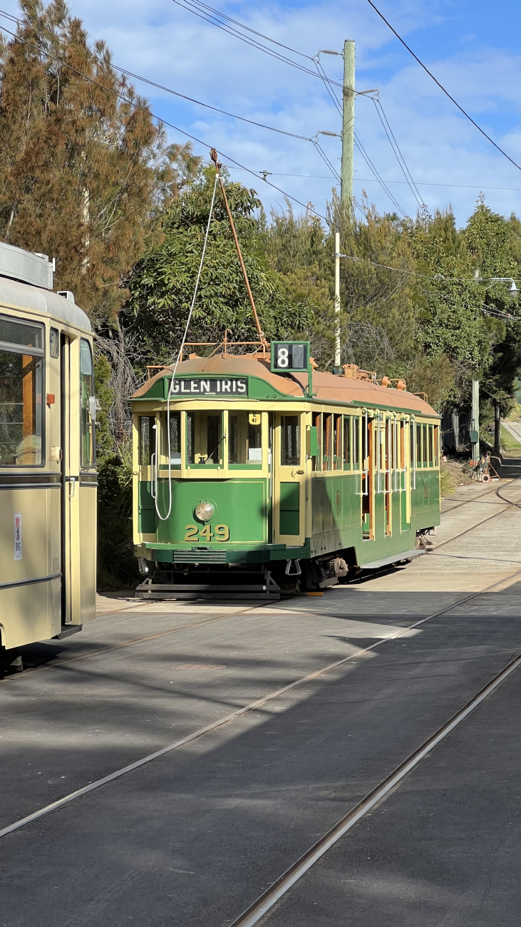 Сидней, MMTB W2 Class № 249