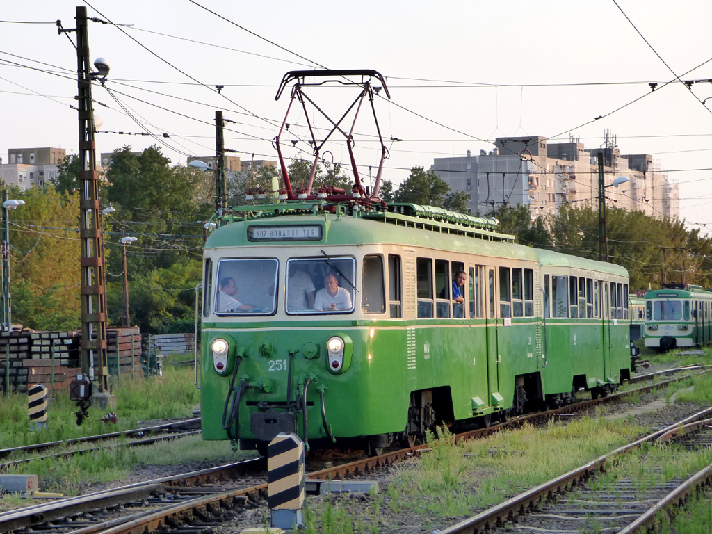 Будапешт, M VIII (DJJ) № 251 (M 251)