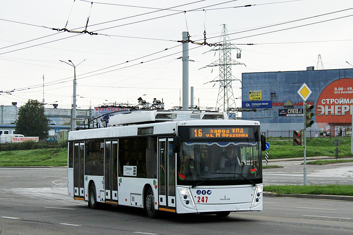 Витебск, МАЗ-203Т70 № 247