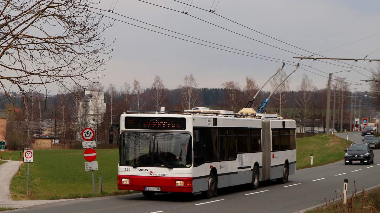 Зальцбург, Gräf & Stift J13 NGT204 M16 № 229