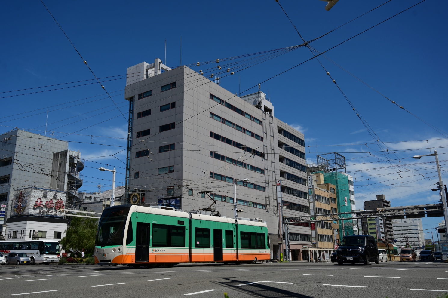 Коти, Little Dancer Ua № 3001