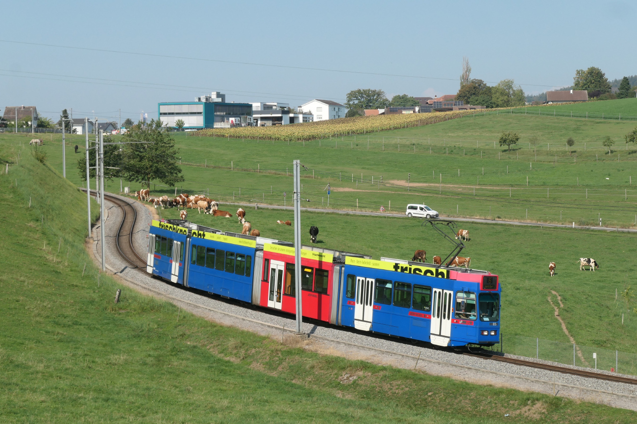 Bern, SWP/SIG/BBC Be 4/10 # 85