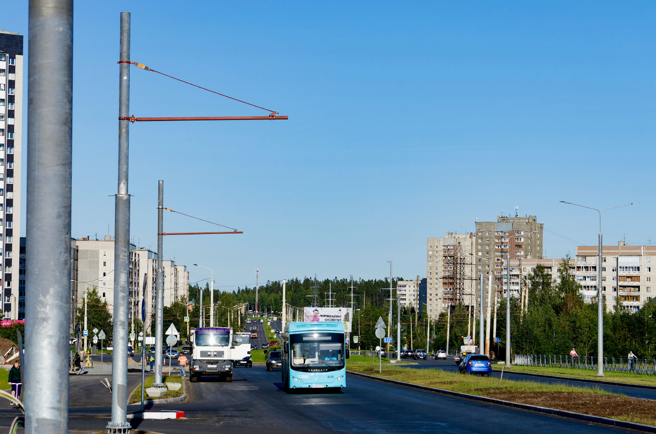 Петрозаводск — Троллейбусные линии и инфраструктура