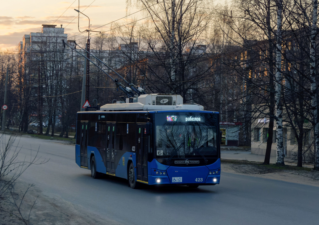 Петрозаводск, ВМЗ-5298.01 «Авангард» № 423
