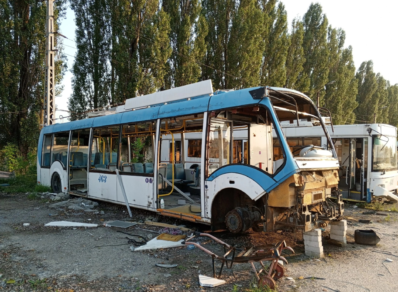 Белгород, БКМ 420030 «Витовт» № 463