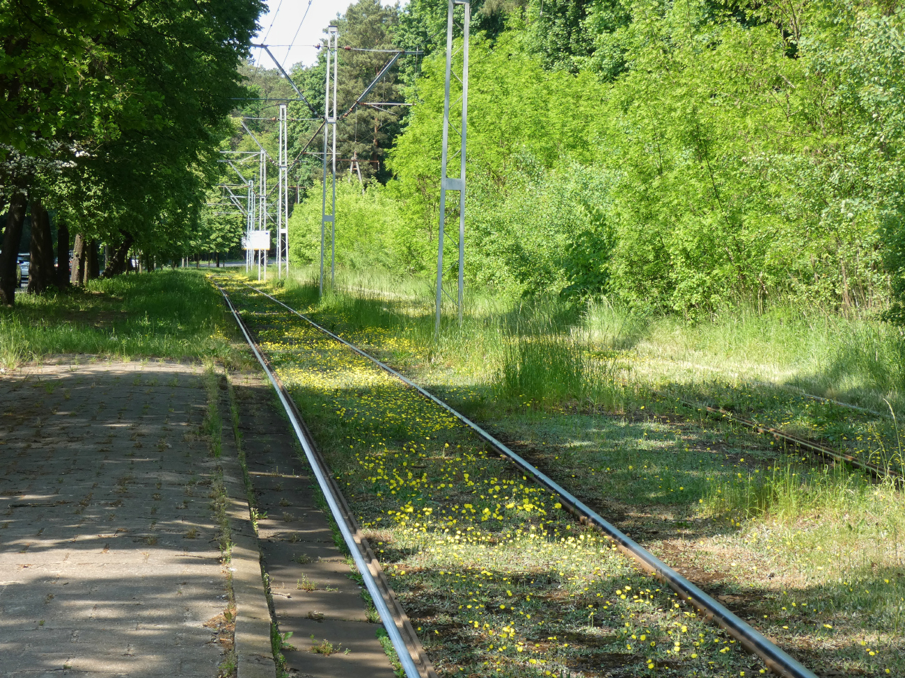 Štětín — Tramway Lines and Infrastructure