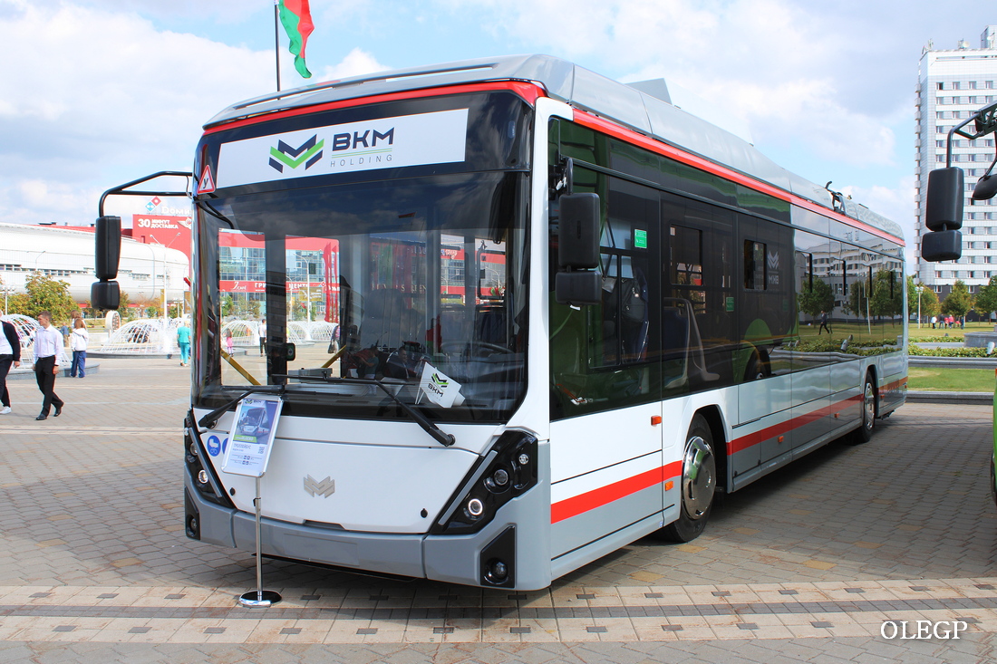 Краснодар, БКМ 32100D «Ольгерд» № 038