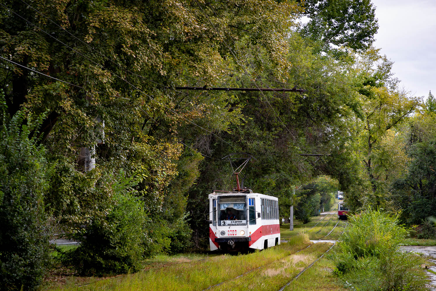 Саратов, 71-608К № 2269