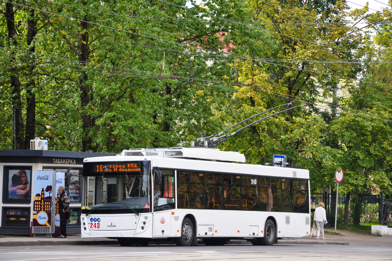Витебск, МАЗ-203Т70 № 243