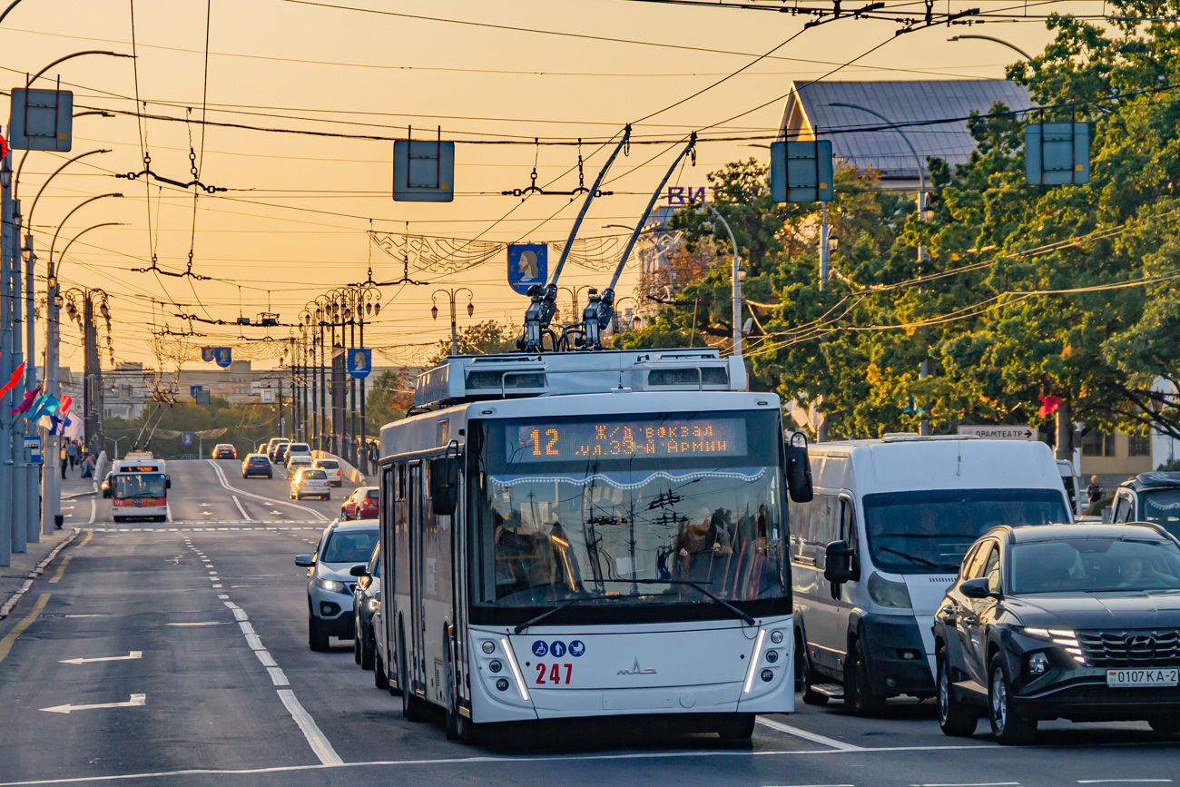 Витебск, МАЗ-203Т70 № 247