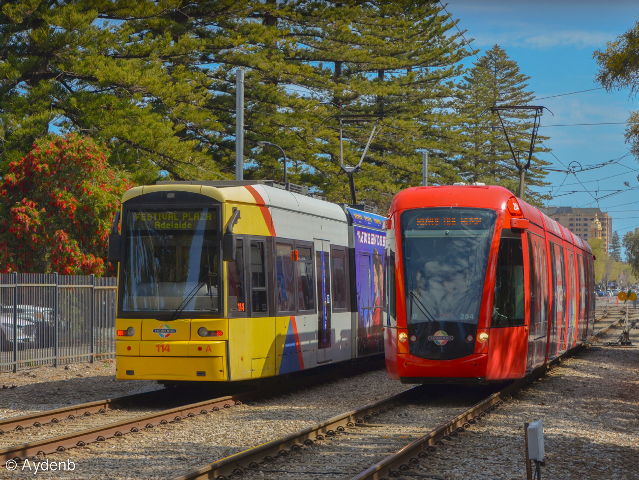 Аделаида, Bombardier Flexity Classic № 114; Аделаида, Alstom Citadis 302 № 204; Аделаида — City Bay Fun Run (17.09.2023) — перекрытия движения трамваев