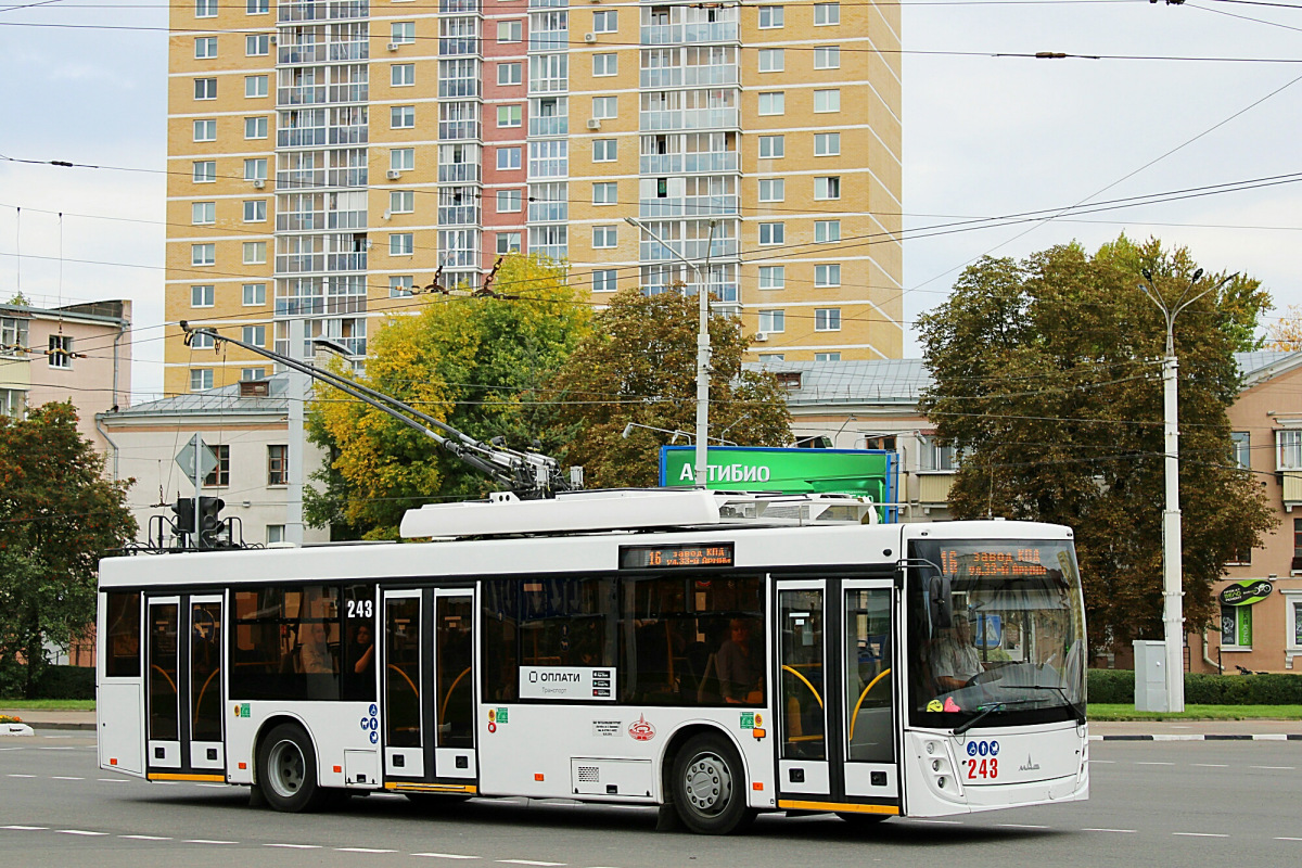 Витебск, МАЗ-203Т70 № 243