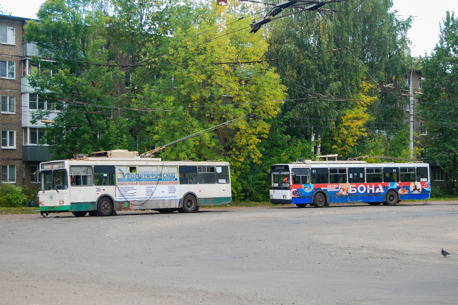 Рыбинск, ВМЗ-5298.00 (ВМЗ-375) № 36; Рыбинск, ВМЗ-52981 № 83