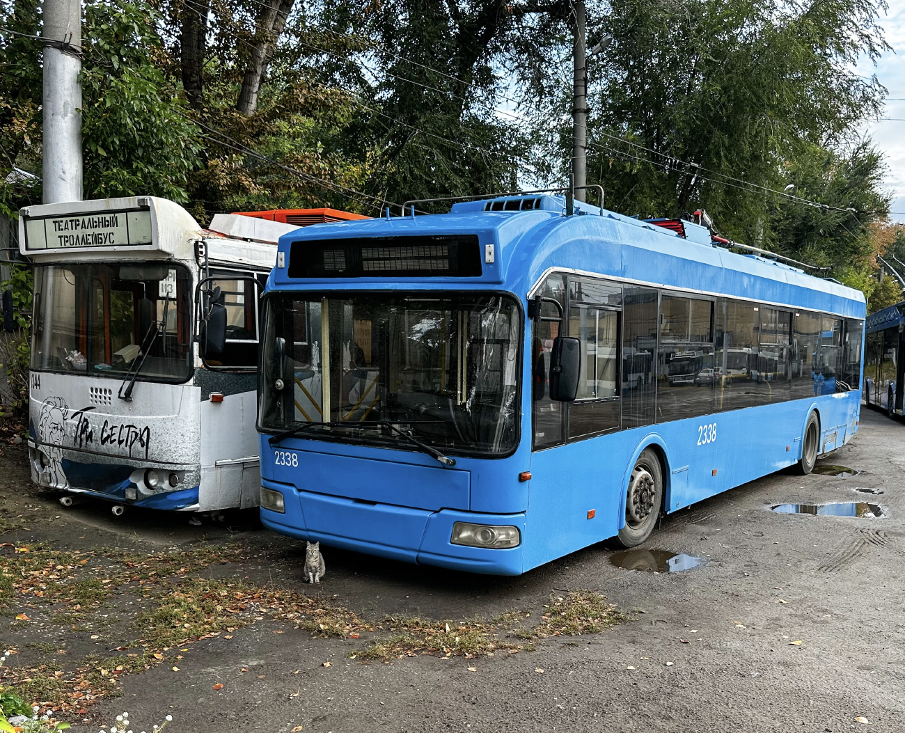 Саратов, БКМ 321 № 2338; Транспорт и животные