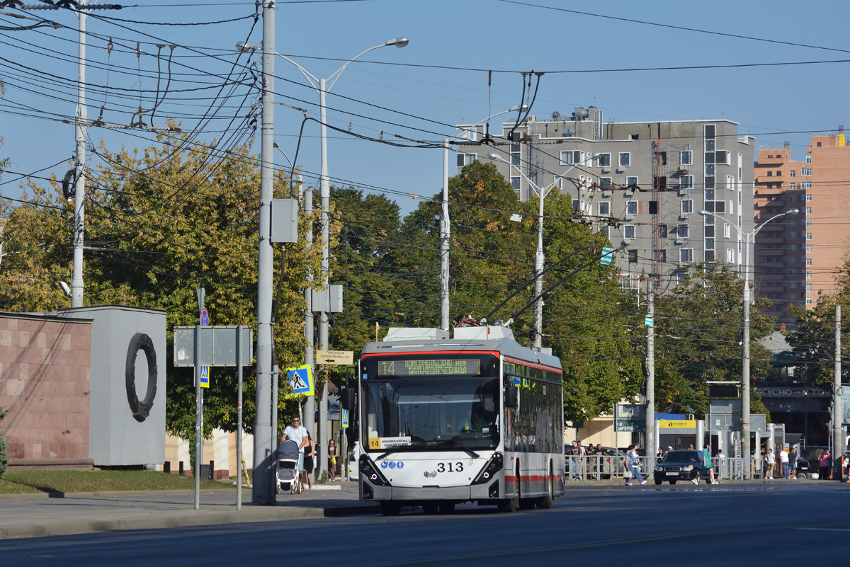 Краснодар, БКМ 32100D «Ольгерд» № 313