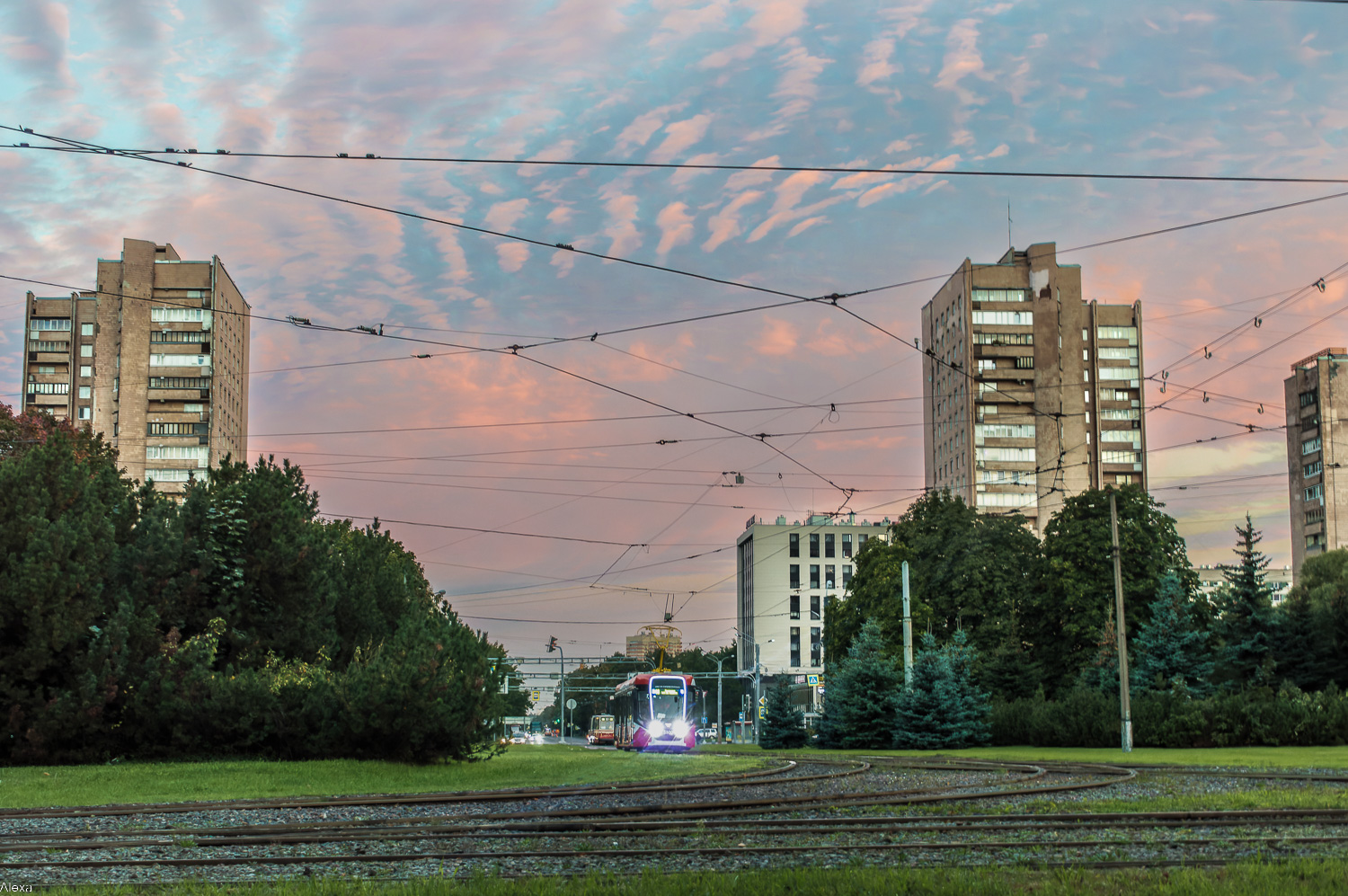 სანქტ-პეტერბურგი — Tram lines and infrastructure