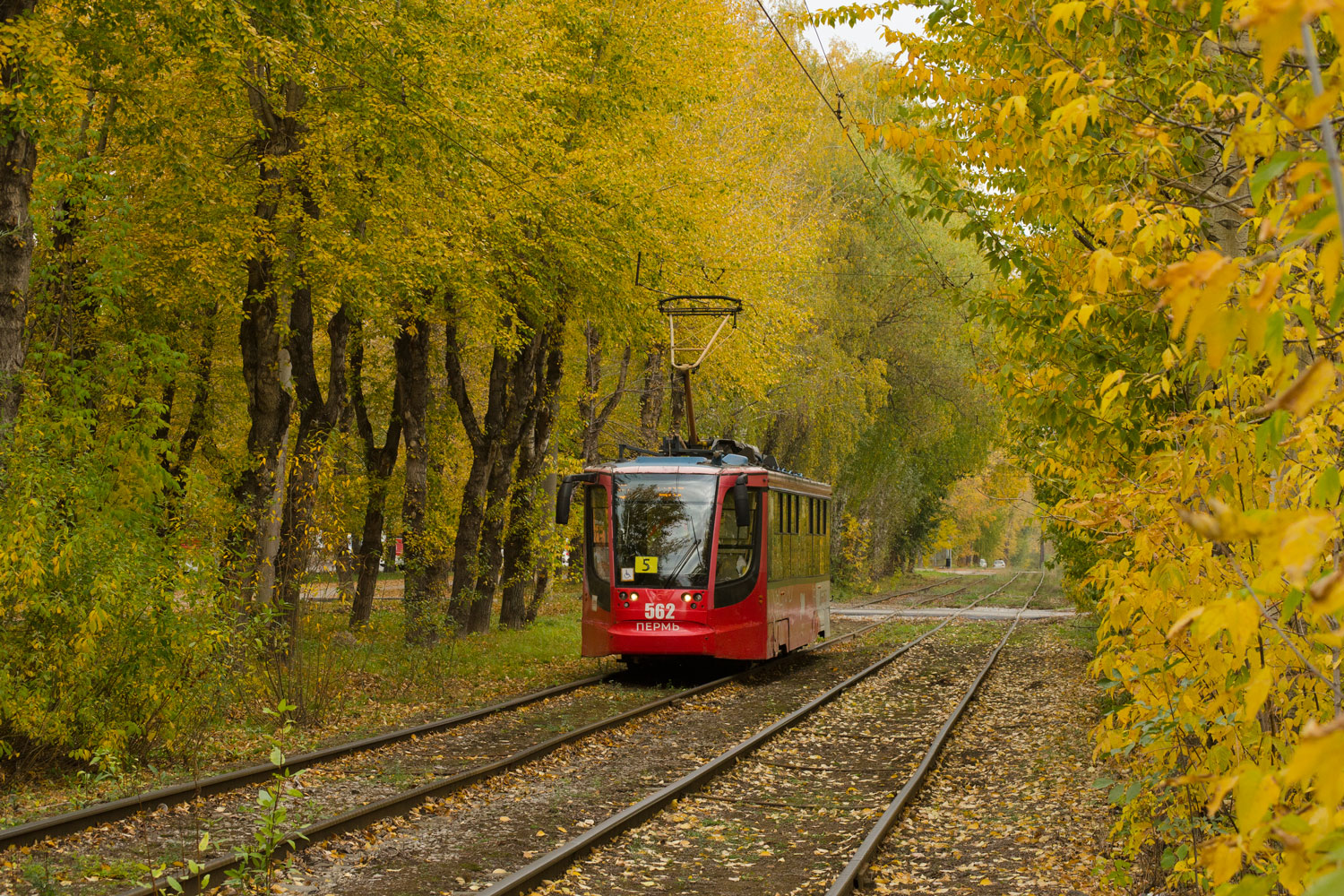 Perm, 71-623-00 № 562