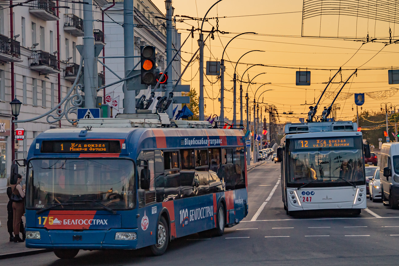 Витебск, БКМ 321 № 175; Витебск, МАЗ-203Т70 № 247