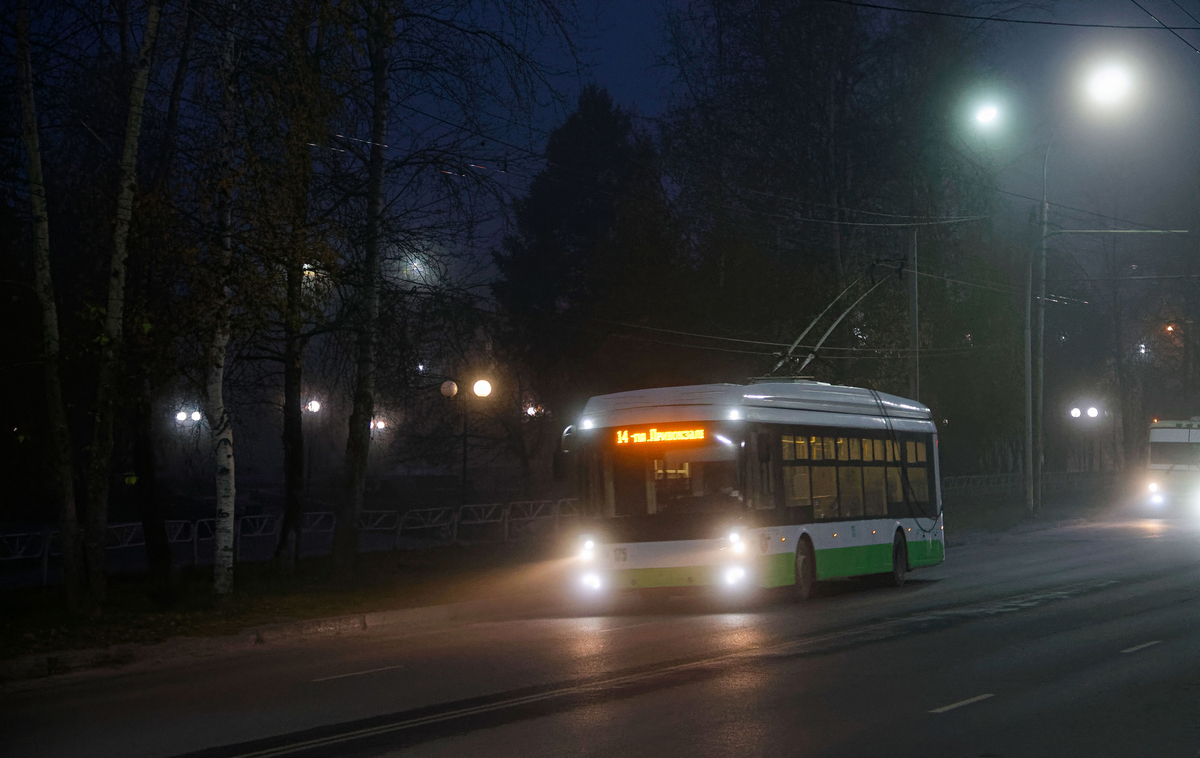 Березники, Тролза-5265.08 «Мегаполис» № 175