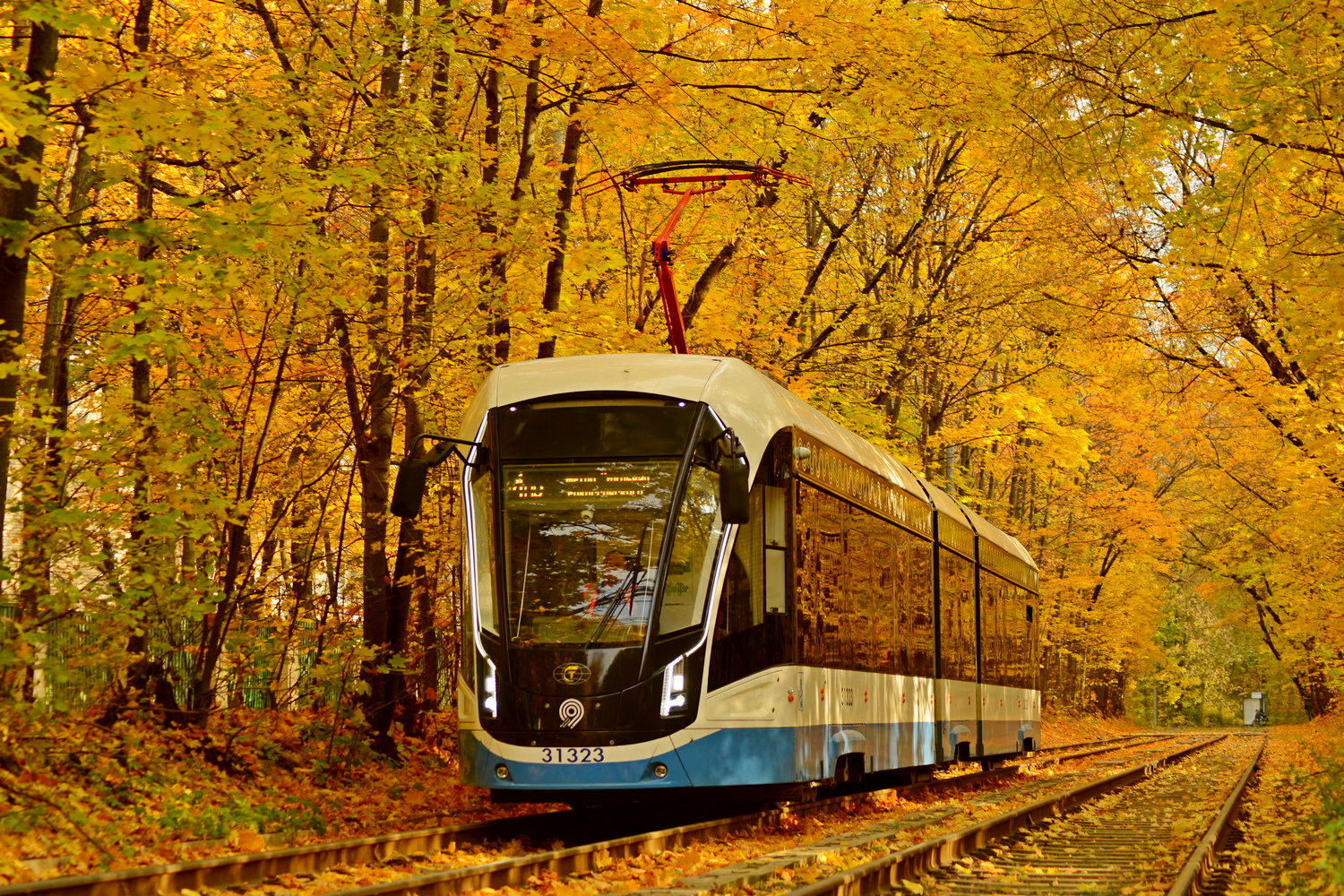 Москва, 71-931М «Витязь-М» № 31323 Москва, 71-931М «Витязь-М» № 31323