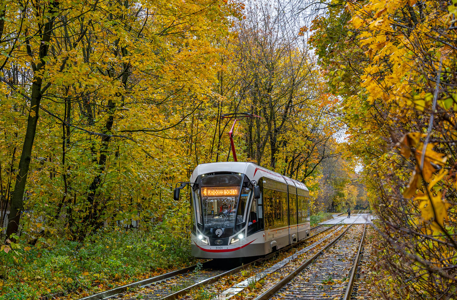 Москва, 71-931М «Витязь-М» № 31101